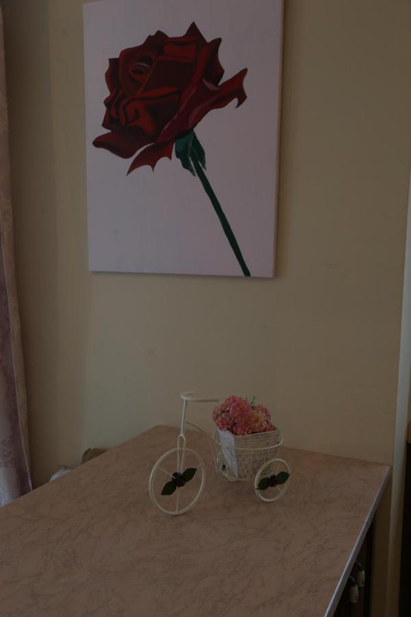 Chrisa'S Beautiful Apartment Chania Chania  Buitenkant foto